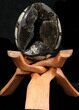 Septarian Dragon Egg Geode - Black Calcite Crystals #34701-1